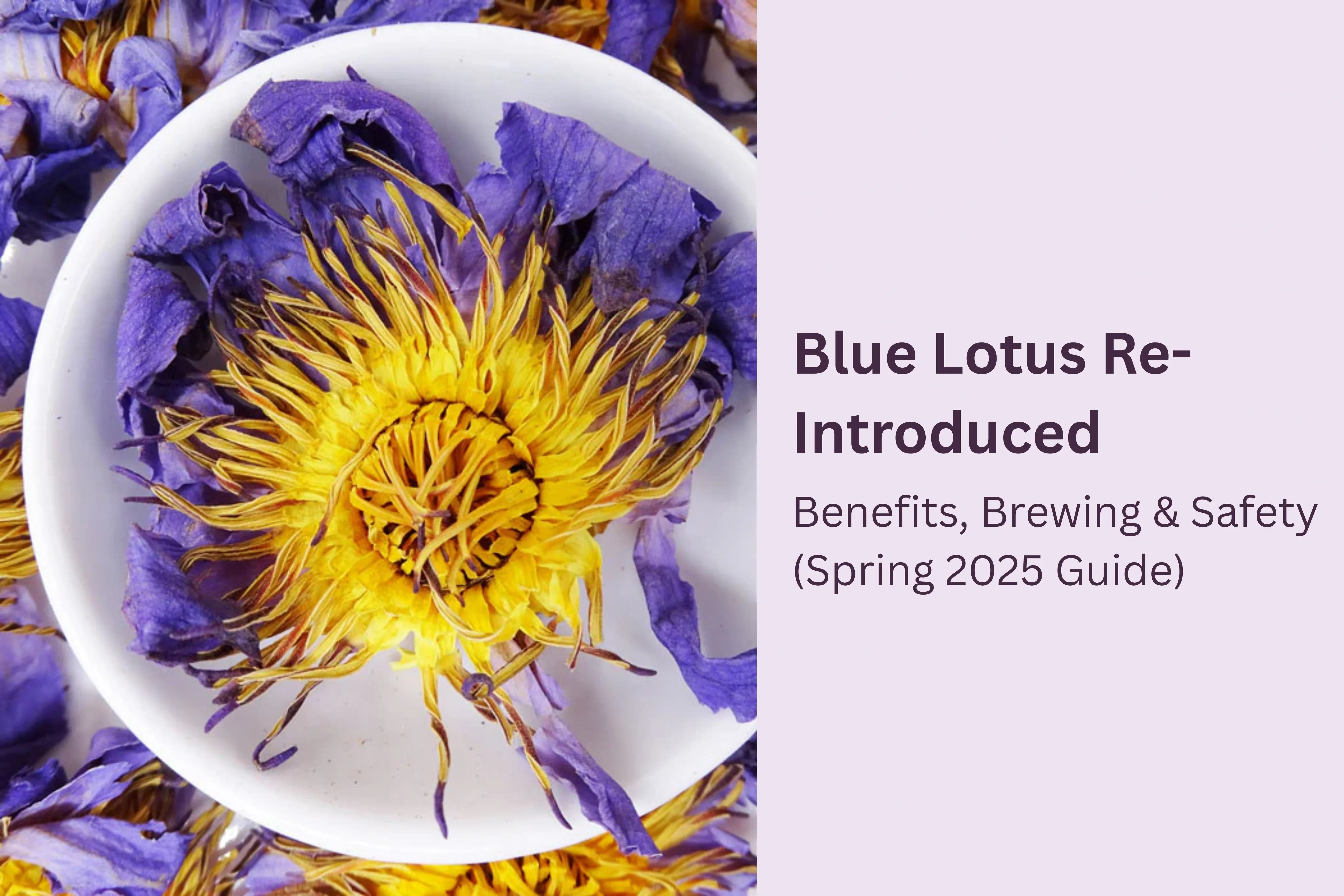 how to make blue lotus vape juice Making Blue Lotus E Juice main image 0