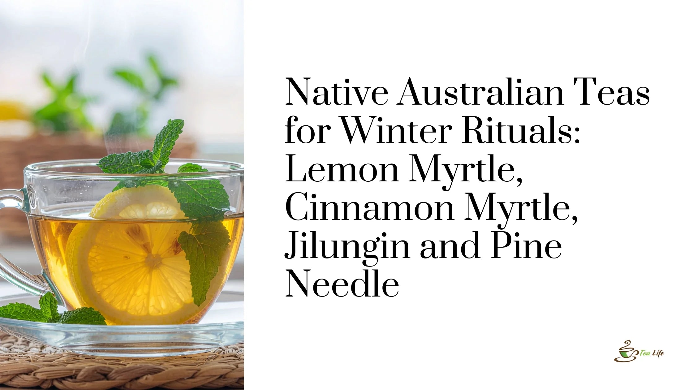 Native Australian Teas for Winter Rituals: Lemon Myrtle, Cinnamon Myrtle, Jilungin and Pine Needle