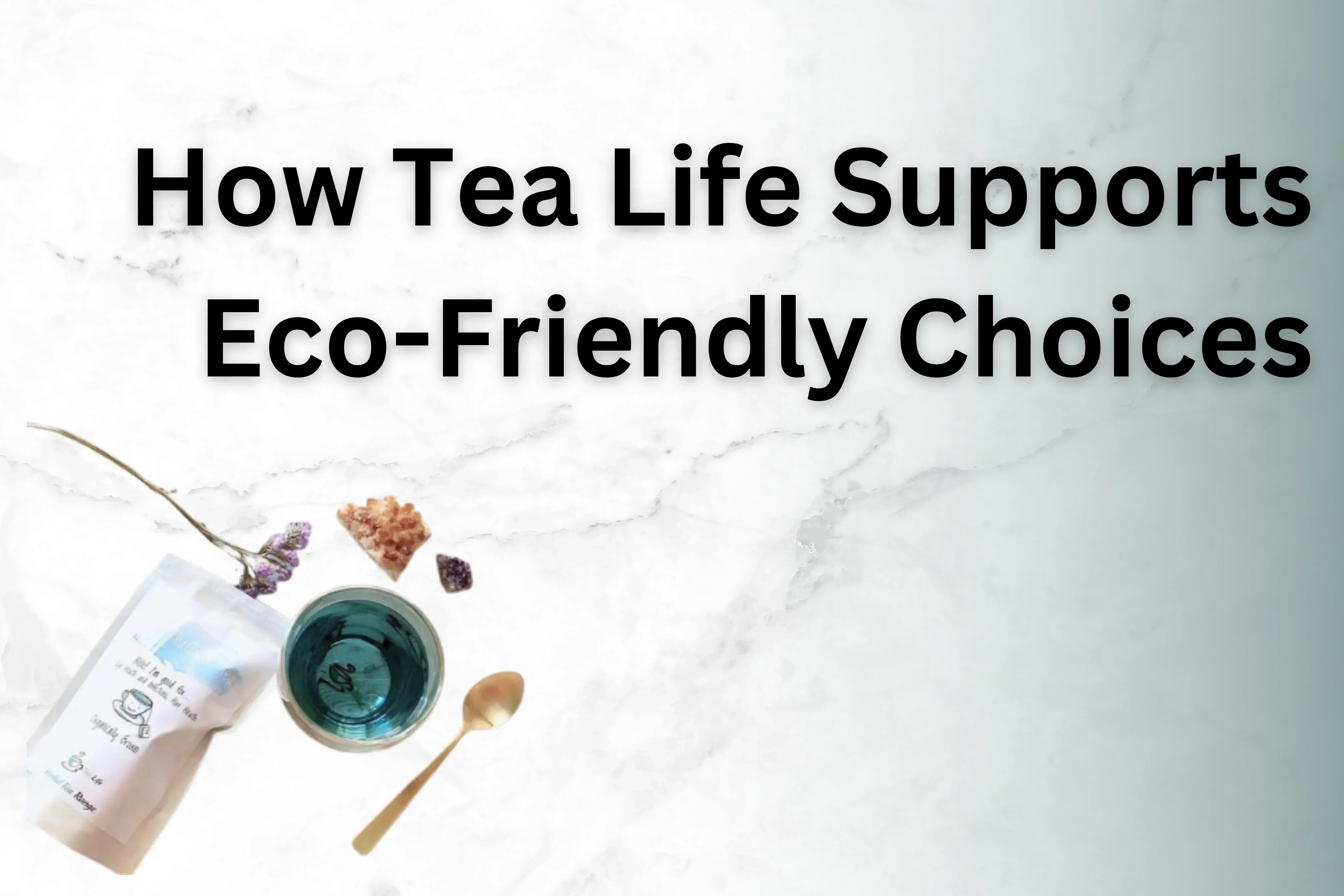 Eco Friendly Choices Header Image