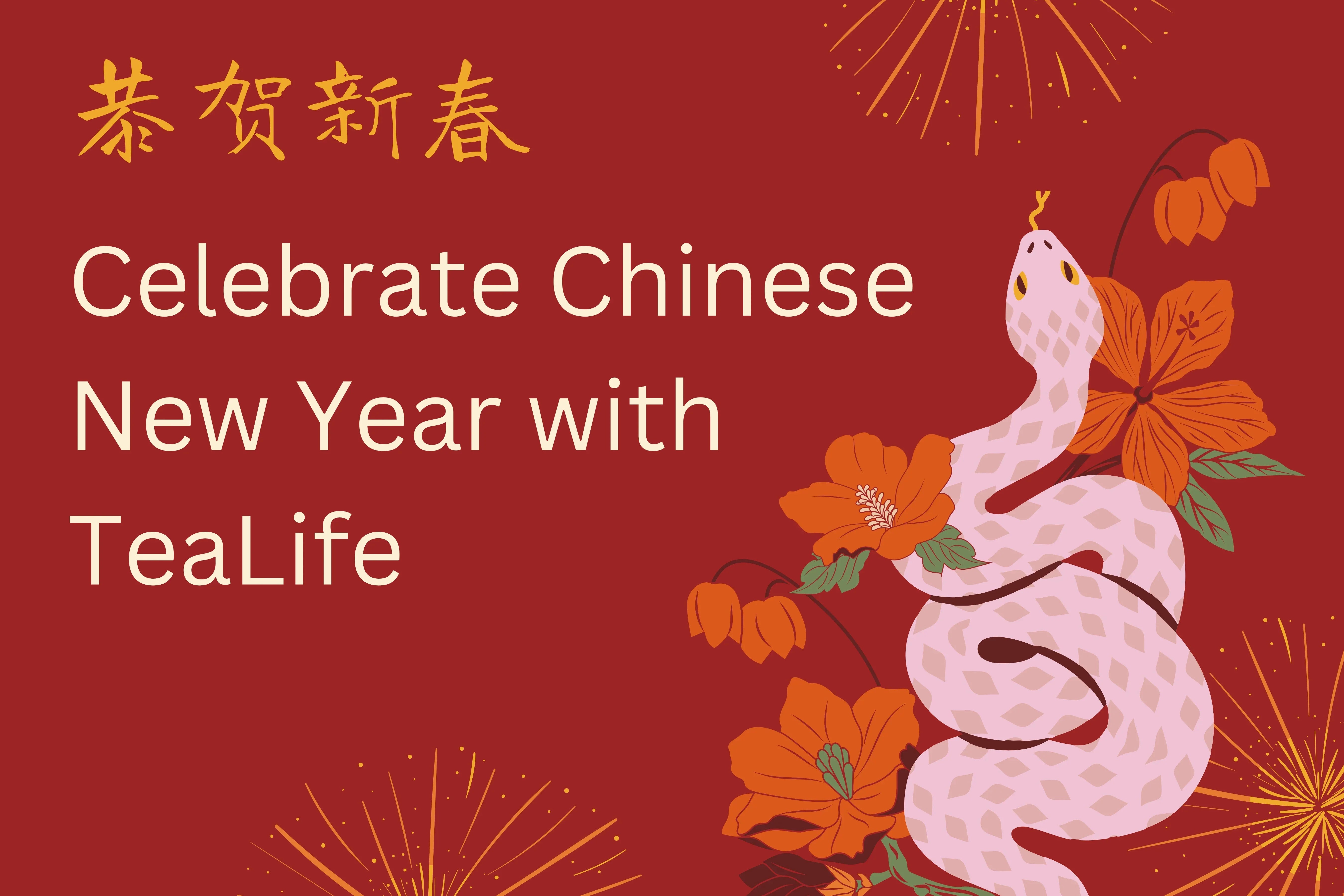 chinese new year 2025 header image