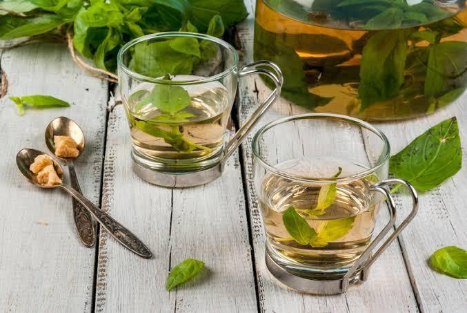 Basil Tea - Ancient, Traditional, and Modern Benefits