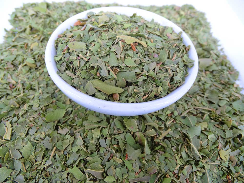 Aniseed Myrtle Tea - Herbal Tea - Anti-oxidants, Caffeine Free, General Health, Kogan, Native - Tea Lifeâ„¢