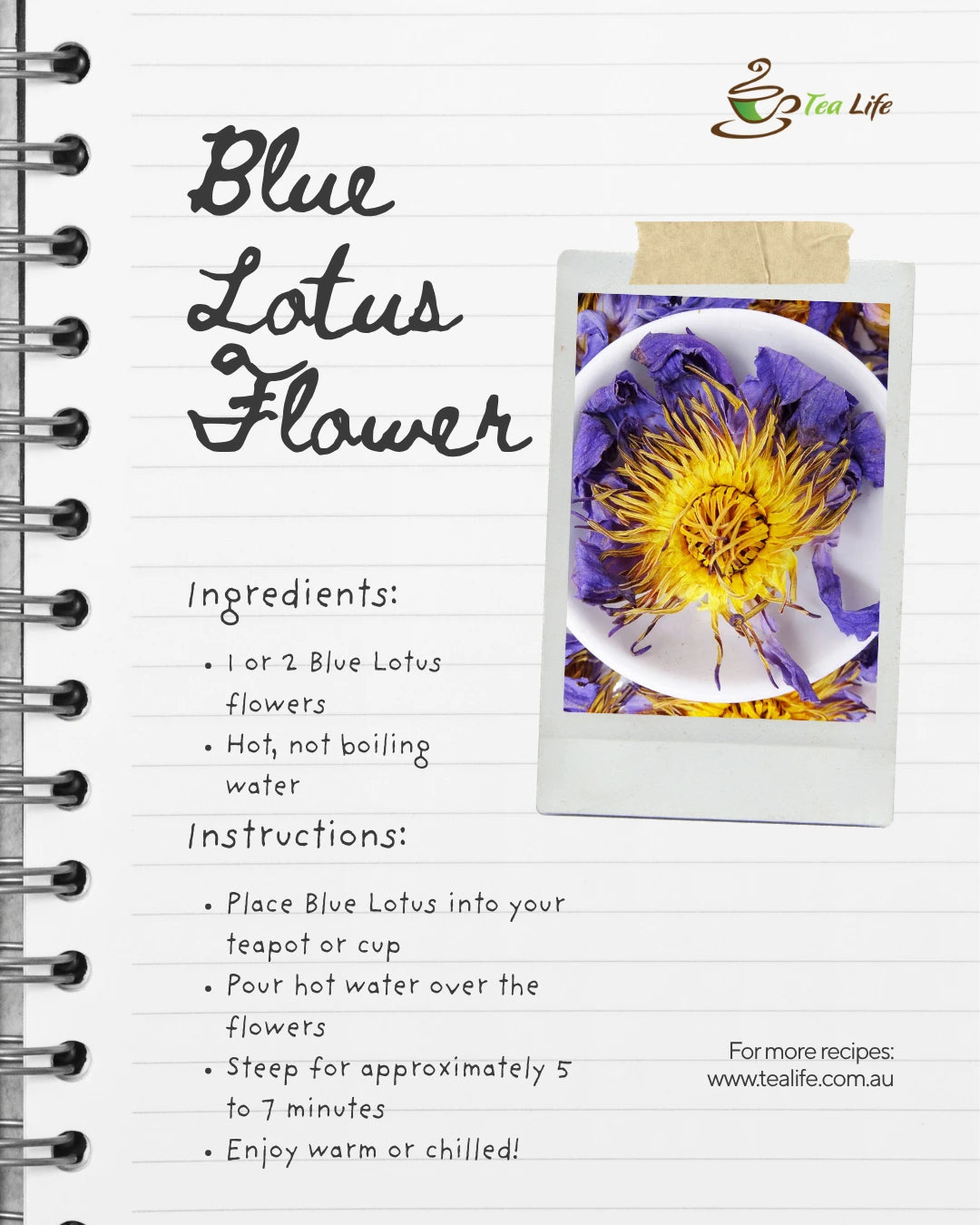 Tea recipe card for Blue Lotus Flower with a photo of the flower and instructions.