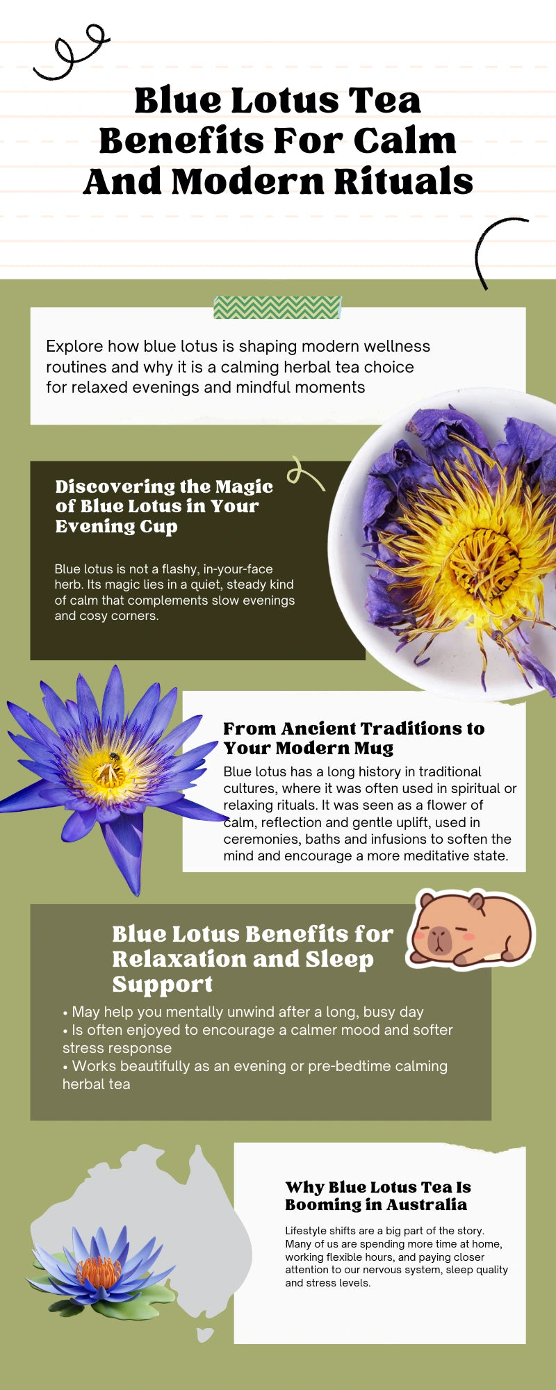 Infographic about Blue Lotus Tea benefits for calmness and modern rituals with text and images of blue lotus flowers.