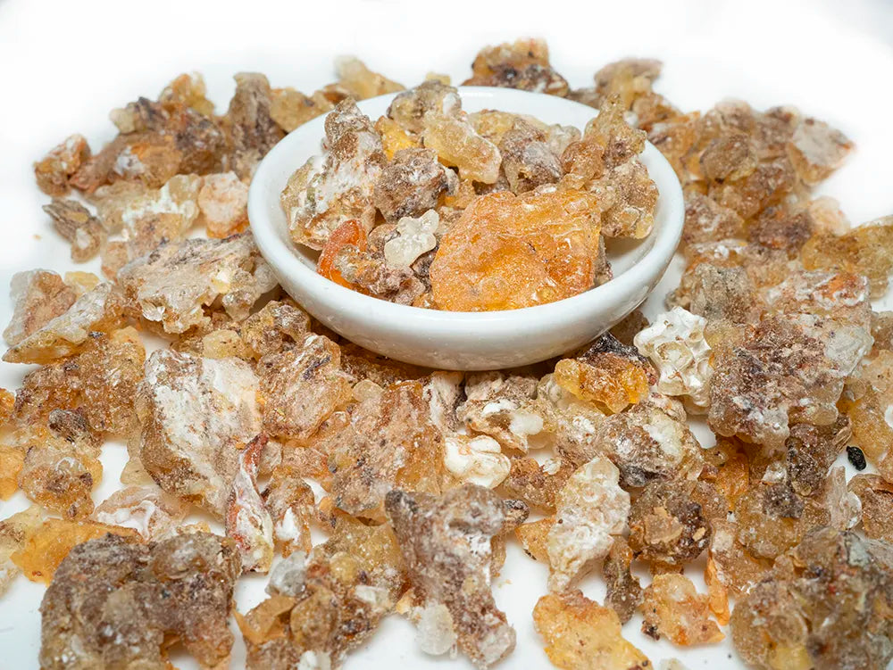 Boswellia Frereana Frankincense Tea