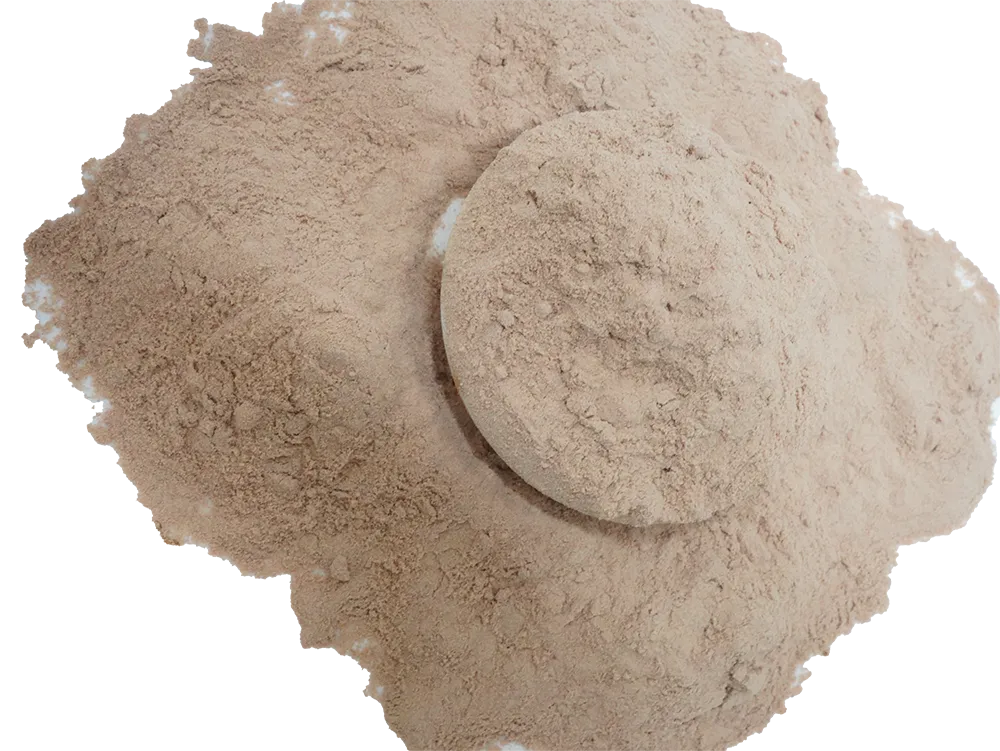 Lions Mane Mushoom Tea