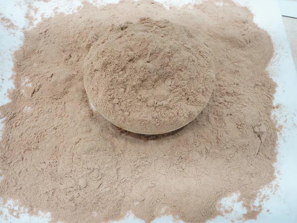 Lions Mane Mushoom Tea