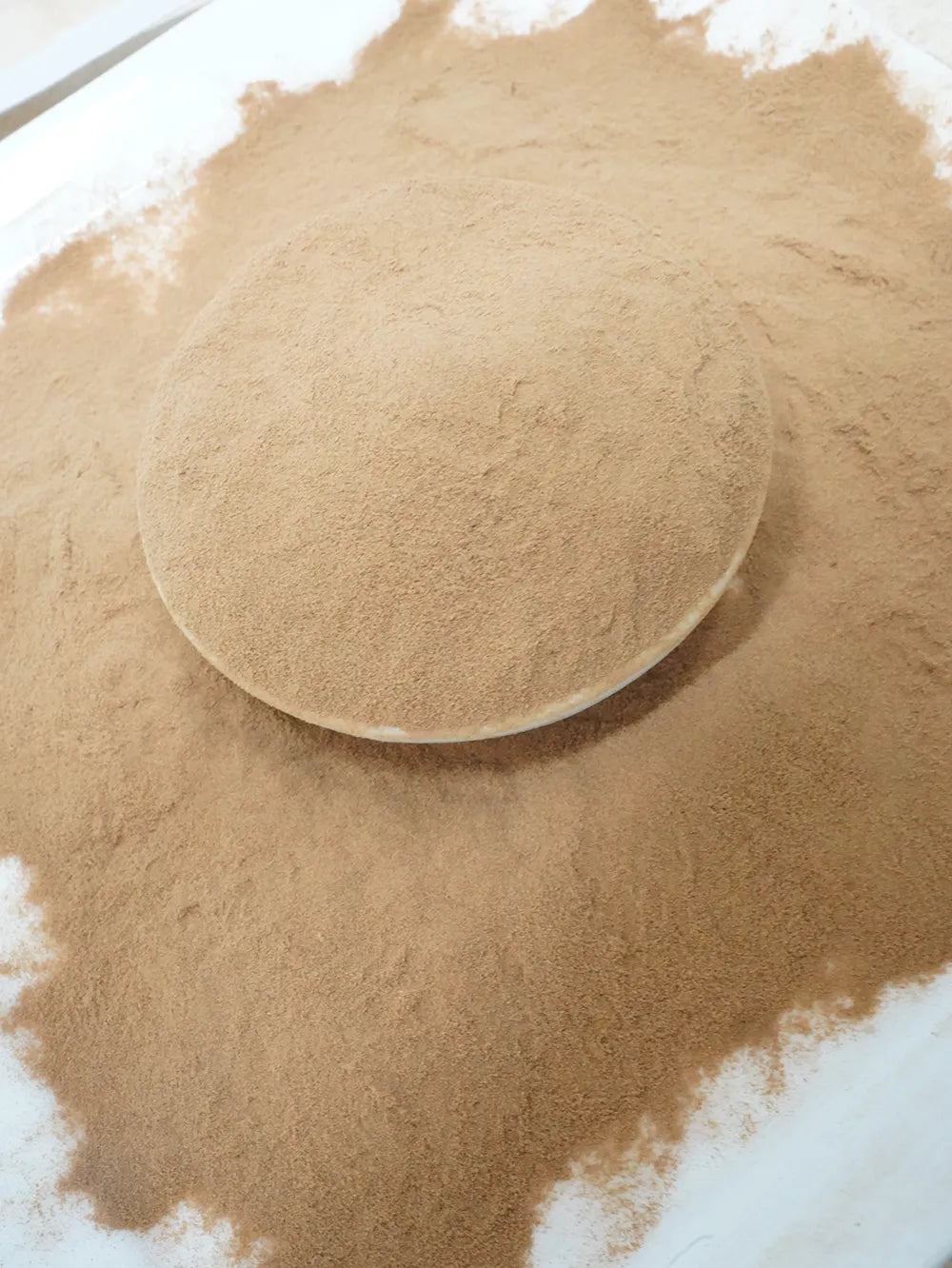 Turkey Tail Mushroom Tea