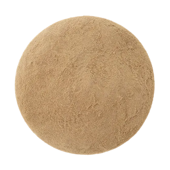 Turkey Tail Mushroom Tea