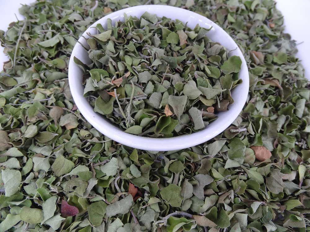 Round Leaf Mint Native Tea - - Anti-inflammatory, Caffeine Free, Catch, Digestion, Headache, Kogan, Native, spo-default, spo-disabled - Tea Life™
