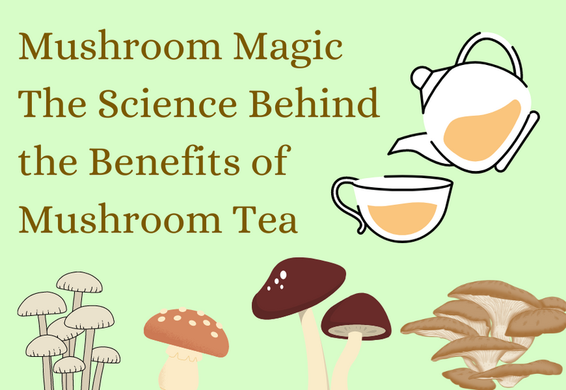 The Science Behind the Benefits of Mushroom Tea | Tea Life
