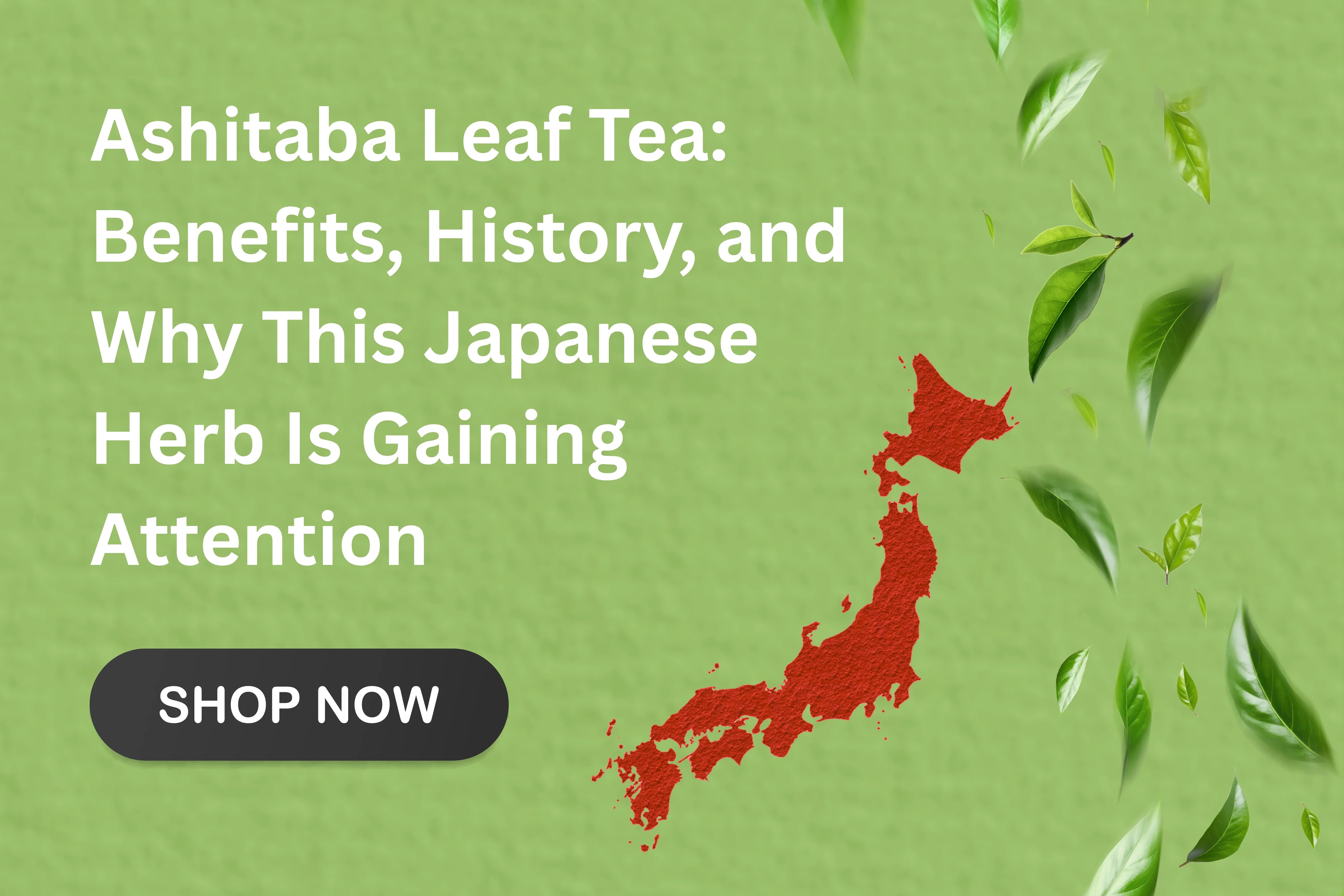 Ashitaba Leaf Tea: Benefits, History, and More – Tea Life