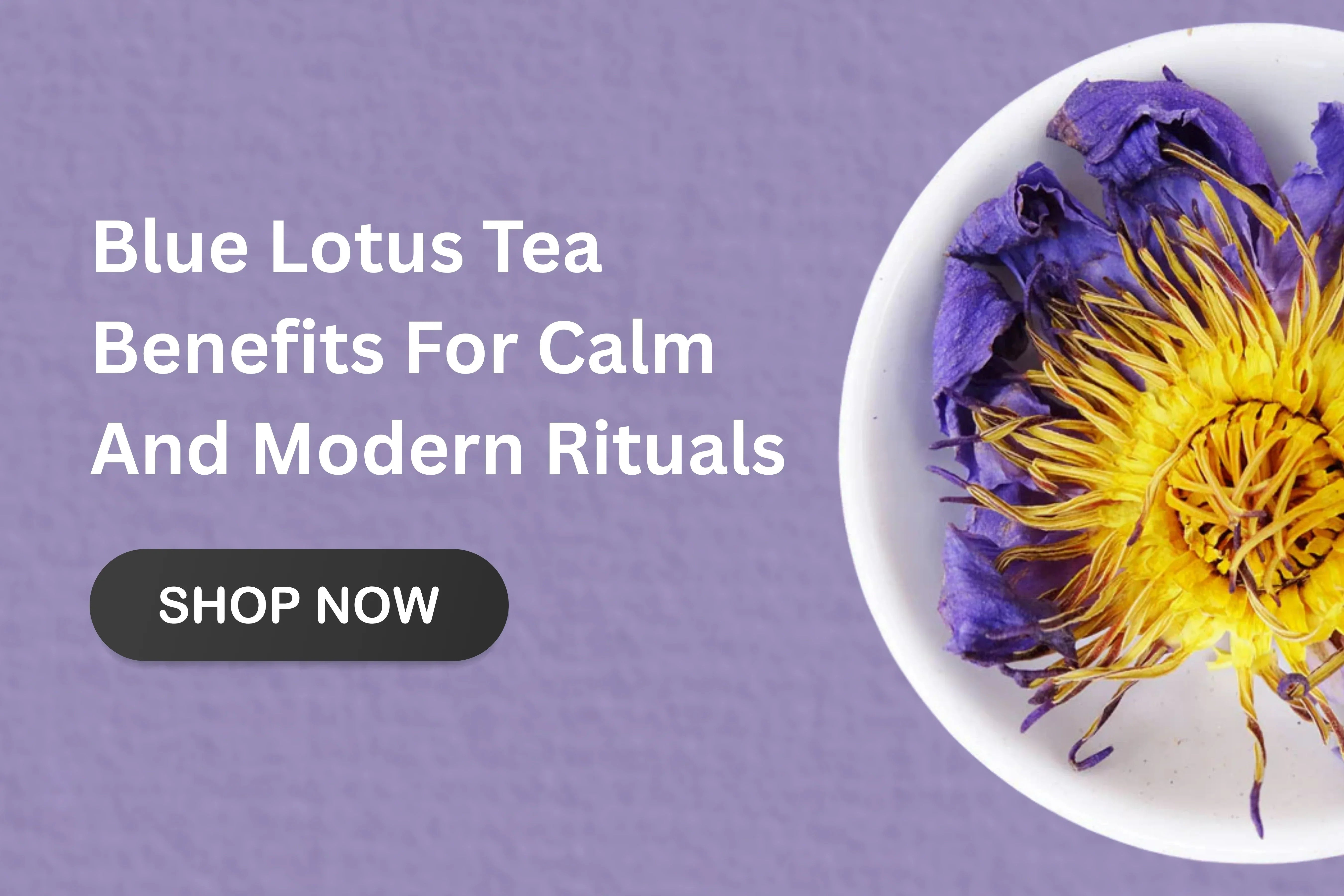 Blue Lotus Tea Benefits For Calm And Modern Rituals