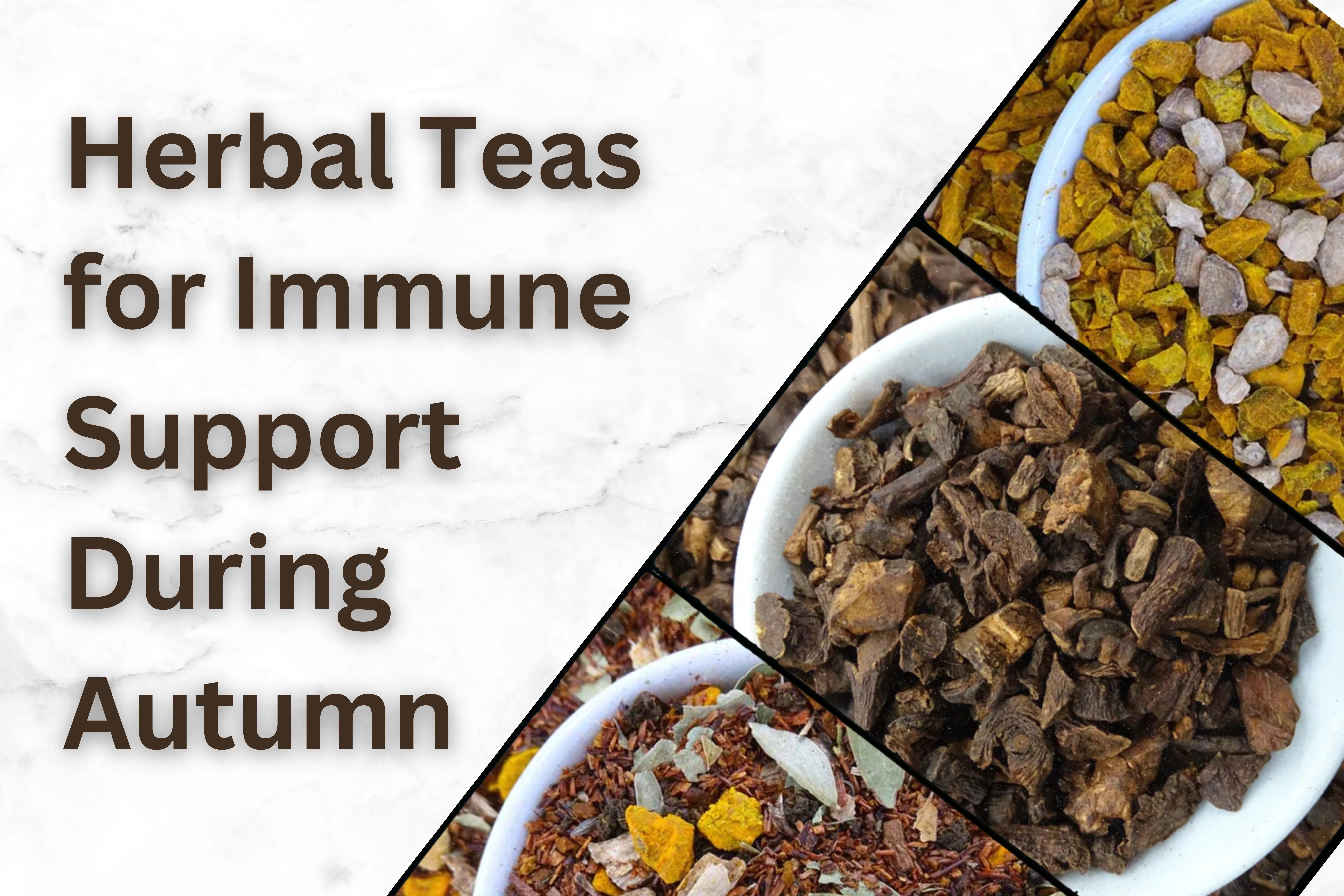 Herbal Teas for Immune Support During Autumn - Tea Life