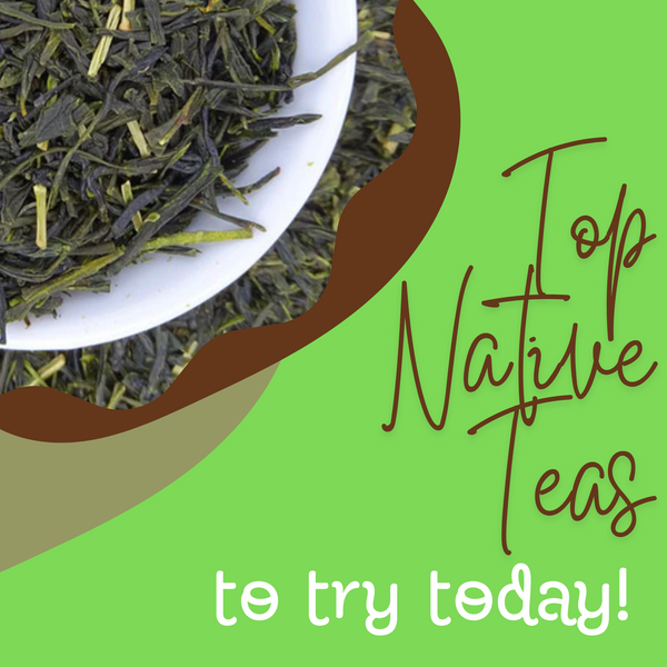 Top Native Teas to Try Today