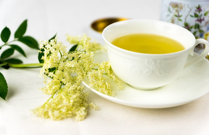 Elderflower Tea - Ancient, Traditional, and Modern Benefits