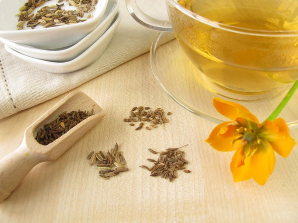 Fennel Tea - Ancient, Traditional, and Modern Benefits