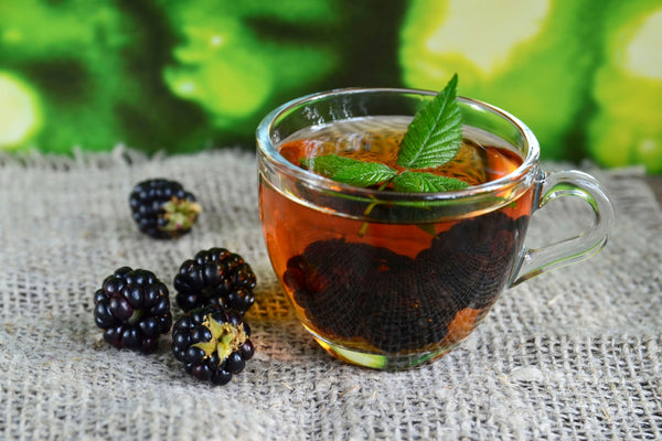 The Benefits of Blackberry Leaf Tea