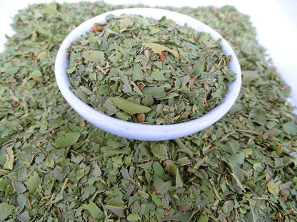 Aniseed Myrtle Tea - Herbal Tea - Anti-oxidants, Caffeine Free, General Health, Kogan, Native - Tea Lifeâ„¢