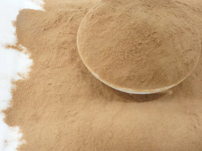 Cordyceps Militaris Mushroom Tea