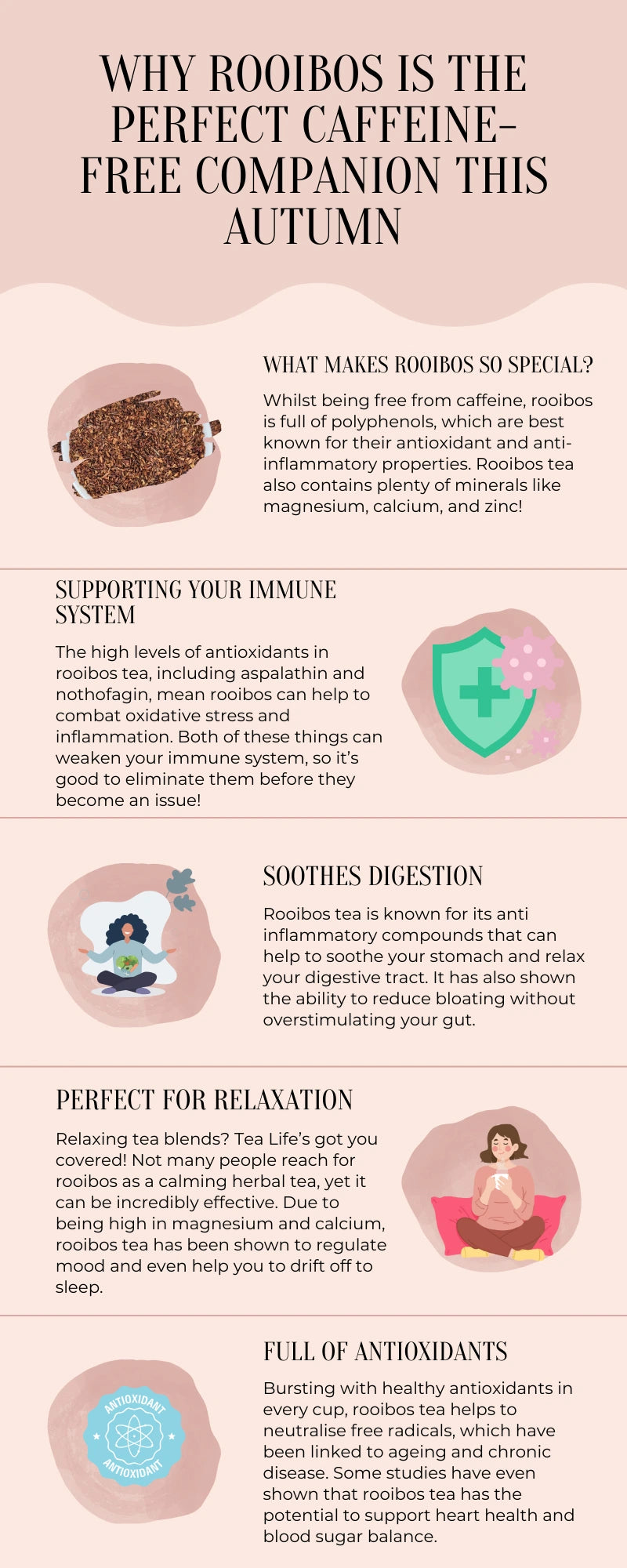 Infographic about rooibos tea as a caffeine-free option for autumn.