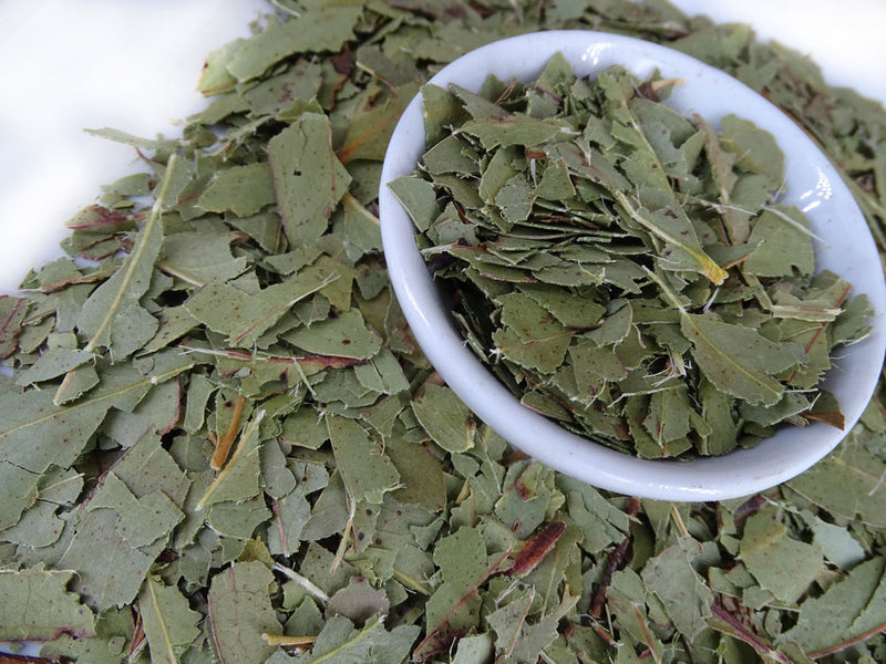 Eucalyptus Blue Gum Leaf Tea - Herbal Tea - Anti-inflammatory, Caffeine Free, Catch, Common Cold, General Health, Kogan, Native, Respiratory, spo-default, spo-disabled - Tea Life™