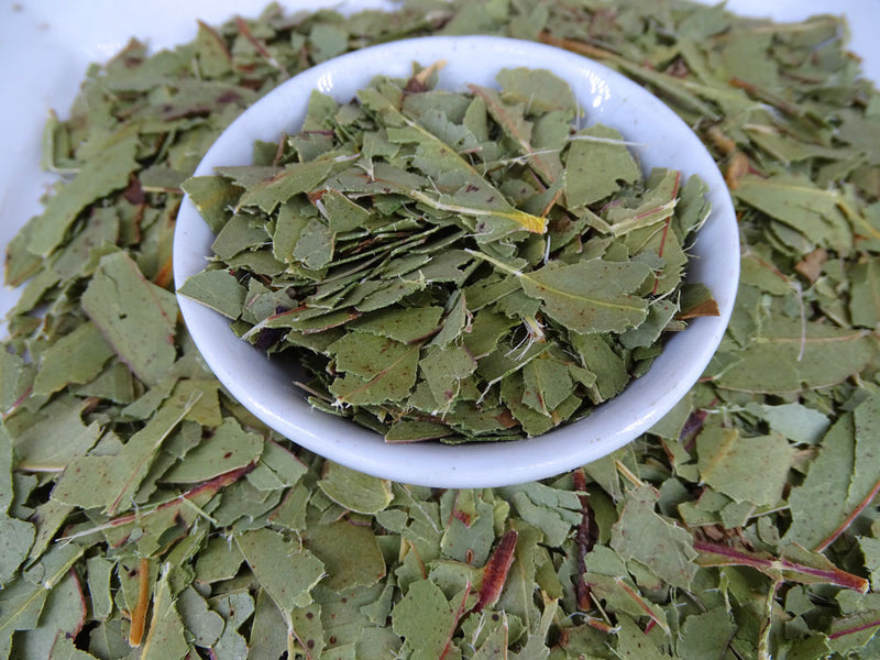 Eucalyptus Blue Gum Leaf Tea - Herbal Tea - Anti-inflammatory, Caffeine Free, Catch, Common Cold, General Health, Kogan, Native, Respiratory, spo-default, spo-disabled - Tea Life™