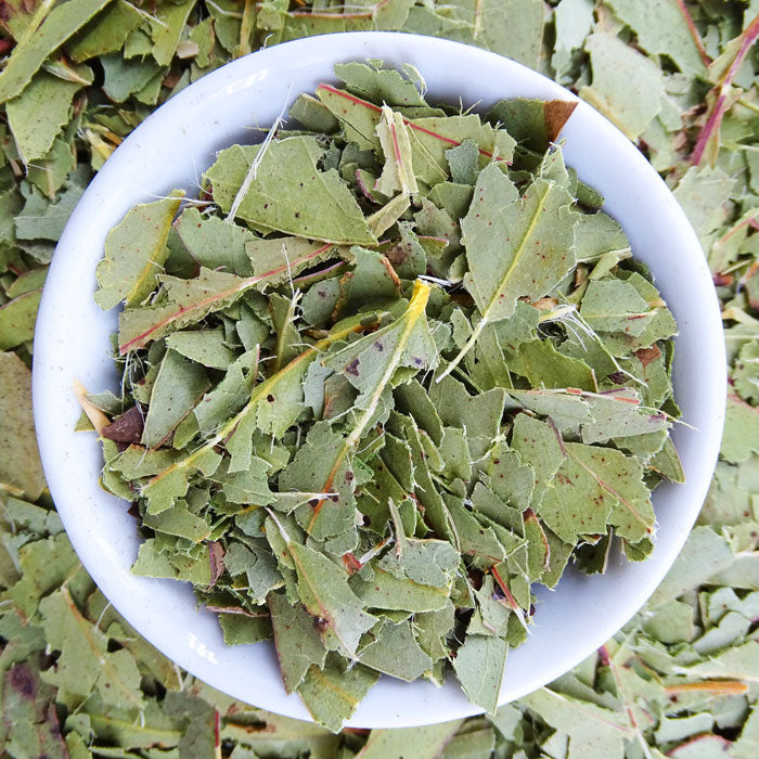 Eucalyptus Blue Gum Leaf Tea - Herbal Tea - Anti-inflammatory, Caffeine Free, Catch, Common Cold, General Health, Kogan, Native, Respiratory, spo-default, spo-disabled - Tea Life™