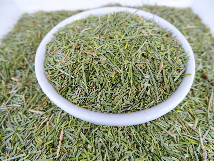Buy Honey Myrtle Native Tea | Tea Life | Wildcrafted Herbal Tea