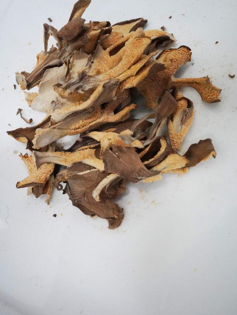 Buy Maitake Mushroom Tea Online Tea Life Australia