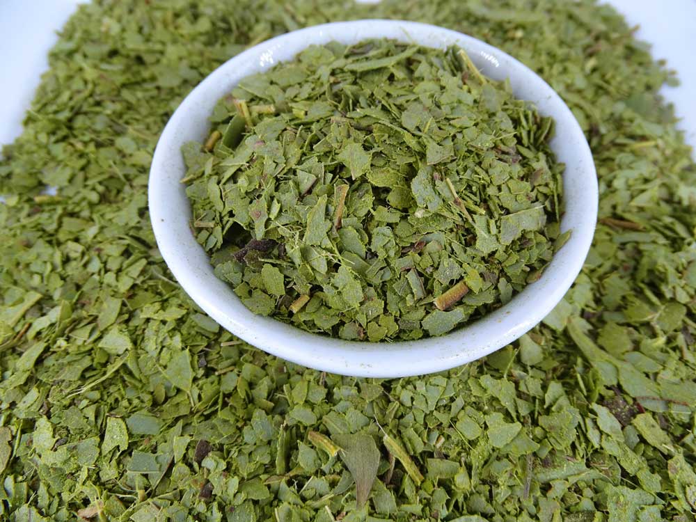 Buy Peppermint Gum Native Tea | Tea Life | Organic Loose Leaf Tea