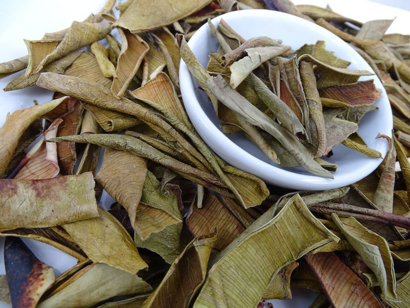 Aloe Vera Tea - Herbal Tea - Caffeine Free, Common Cold, Kogan, Skin Cleansing - Tea Life™