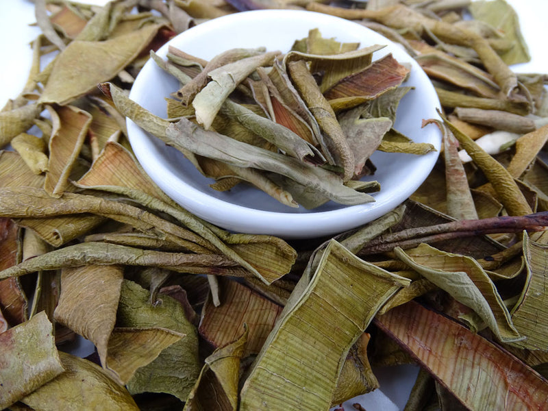 Aloe Vera Tea - Herbal Tea - Caffeine Free, Common Cold, Kogan, Skin Cleansing - Tea Life™