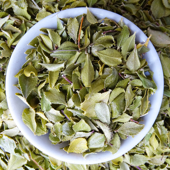 Buchu Leaf Tea -  - Caffeine Free, Common Cold, Kogan - Tea Life™