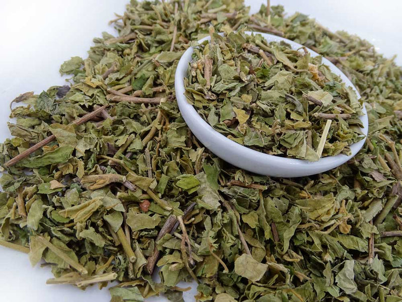 Gymnema Sylvestre Tea - Herbal Tea - Anti-inflammatory, Caffeine Free, Catch, Diabetes, Kogan, spo-default, spo-disabled - Tea Life™