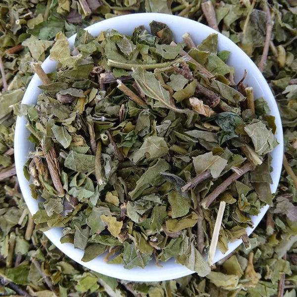 Gymnema Sylvestre Tea - Herbal Tea - Anti-inflammatory, Caffeine Free, Catch, Diabetes, Kogan, spo-default, spo-disabled - Tea Life™