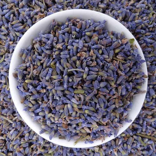 Lavender Tea - Herbal Tea - Anxiety and Stress, Caffeine Free, Catch, Headache, Kogan, Relaxation, Sleep, spo-default, spo-disabled - Tea Life™