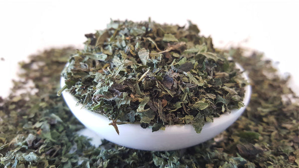 Nettle Tea | Tea Life | Buy Organic Loose Leaf Tea Online