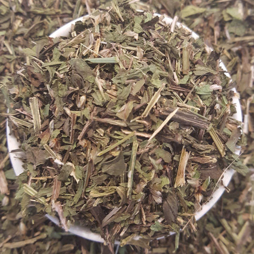 Plantain Tea | Tea Life | Shop Organic Healthy Teas Online