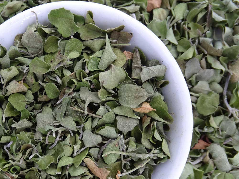 Round Leaf Mint Native Tea -  - Anti-inflammatory, Caffeine Free, Catch, Digestion, Headache, Kogan, Native, spo-default, spo-disabled - Tea Life™